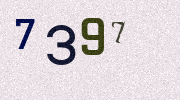 Visual Confirmation Security Code