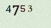 Visual Confirmation Security Code