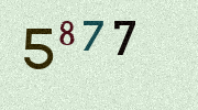 Visual Confirmation Security Code