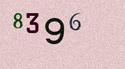 Visual Confirmation Security Code
