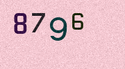 Visual Confirmation Security Code