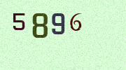 Visual Confirmation Security Code