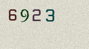 Visual Confirmation Security Code