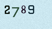 Visual Confirmation Security Code