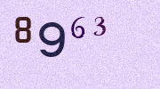 Visual Confirmation Security Code