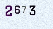Visual Confirmation Security Code