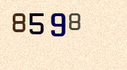 Visual Confirmation Security Code