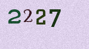 Visual Confirmation Security Code