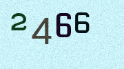 Visual Confirmation Security Code