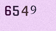 Visual Confirmation Security Code