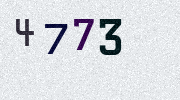 Visual Confirmation Security Code