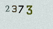 Visual Confirmation Security Code