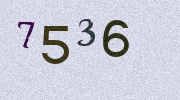 Visual Confirmation Security Code