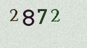 Visual Confirmation Security Code