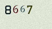 Visual Confirmation Security Code
