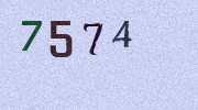 Visual Confirmation Security Code