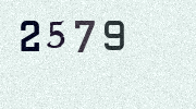 Visual Confirmation Security Code