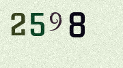 Visual Confirmation Security Code