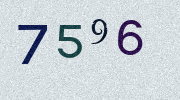 Visual Confirmation Security Code