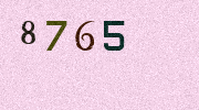 Visual Confirmation Security Code