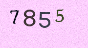 Visual Confirmation Security Code