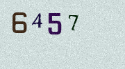 Visual Confirmation Security Code