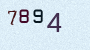 Visual Confirmation Security Code