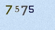 Visual Confirmation Security Code