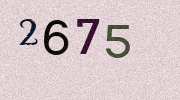 Visual Confirmation Security Code