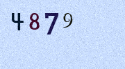 Visual Confirmation Security Code