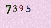 Visual Confirmation Security Code