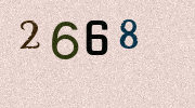 Visual Confirmation Security Code