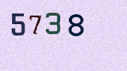 Visual Confirmation Security Code