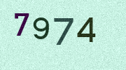 Visual Confirmation Security Code
