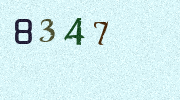 Visual Confirmation Security Code