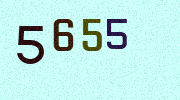 Visual Confirmation Security Code